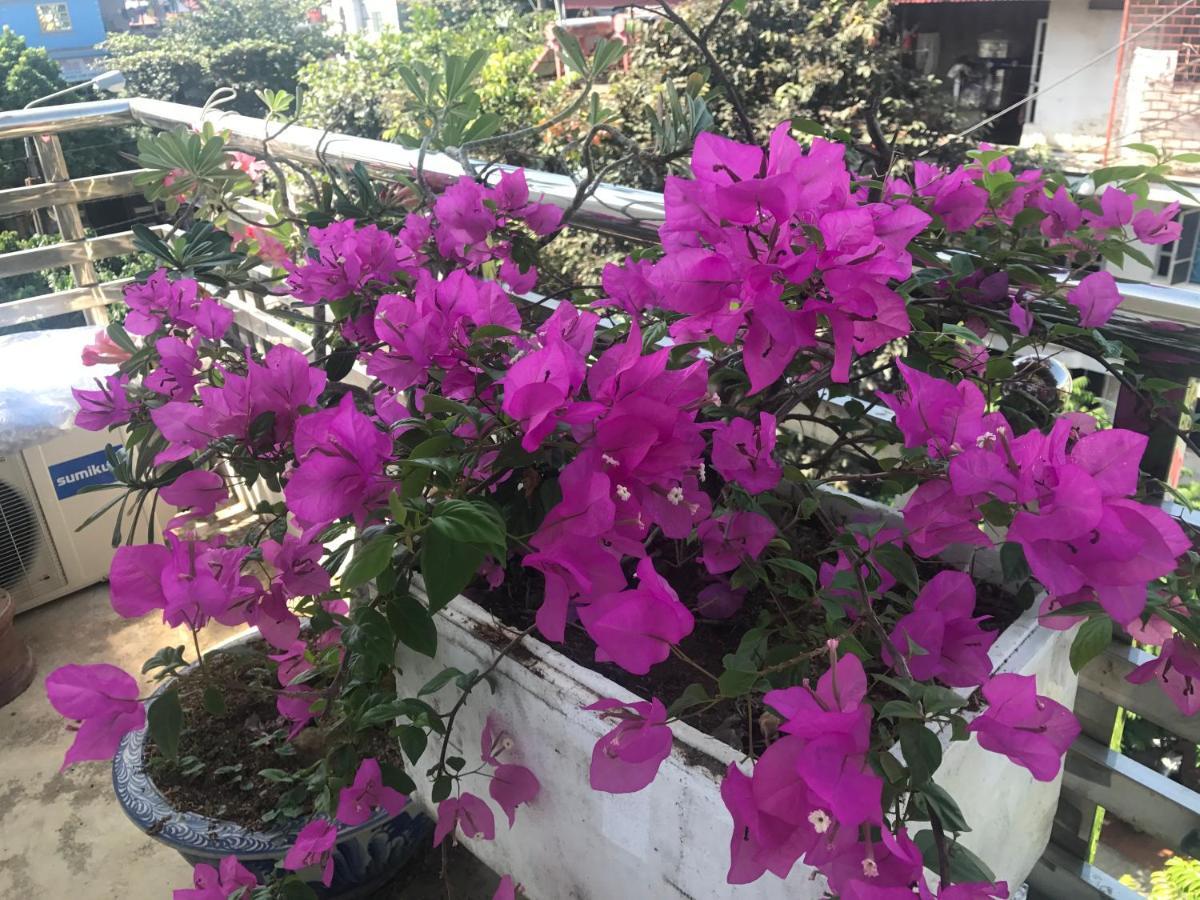 Diện Biên Phủ Tuan Minh Guest House מראה חיצוני תמונה